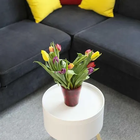 Spa Apartment * Szczecinek
